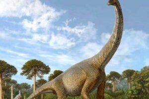 Brachiosaurus (1)