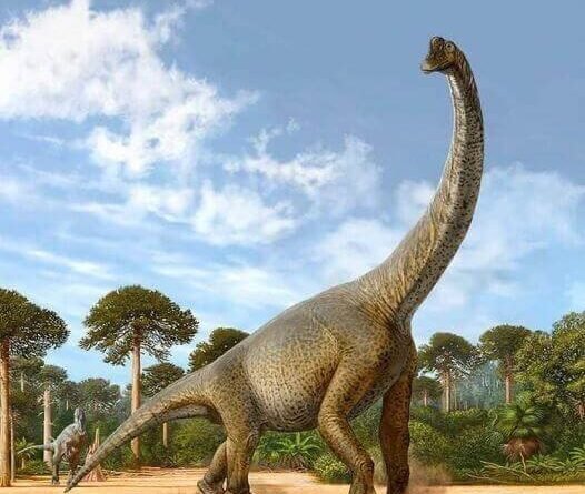 Brachiosaurus (1)