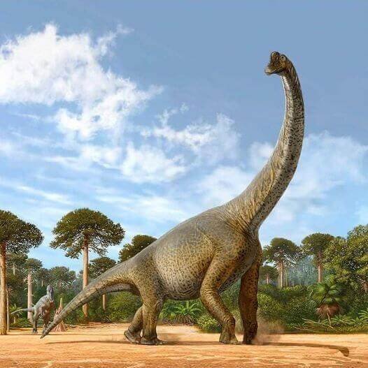 Brachiosaurus (1)