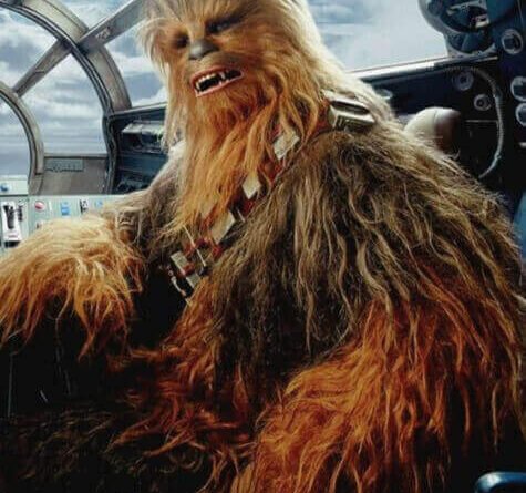 Chewbacca - Chewie