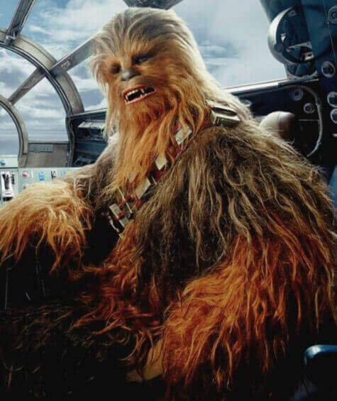 Chewbacca - Chewie