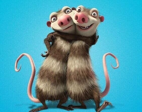 Crash ve Eddie