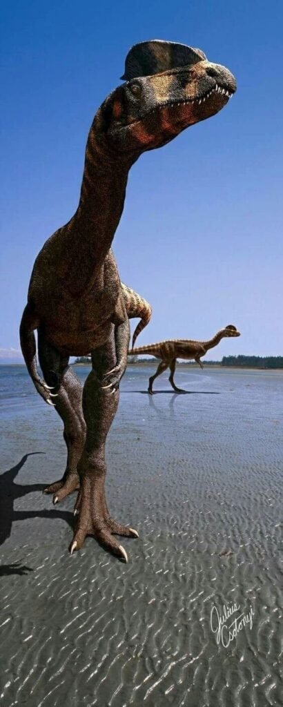 Dilophosaurus
