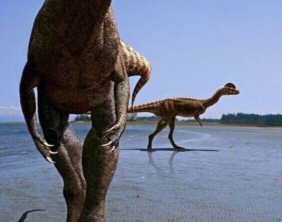 Dilophosaurus