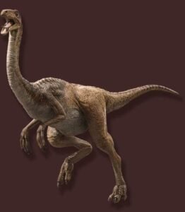 Gallimimus Nedir