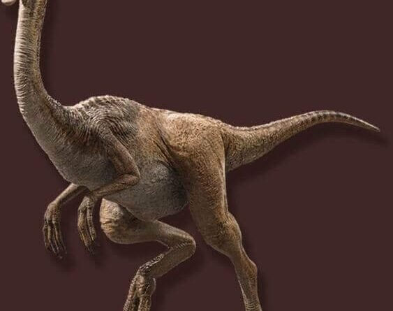 Gallimimus Nedir