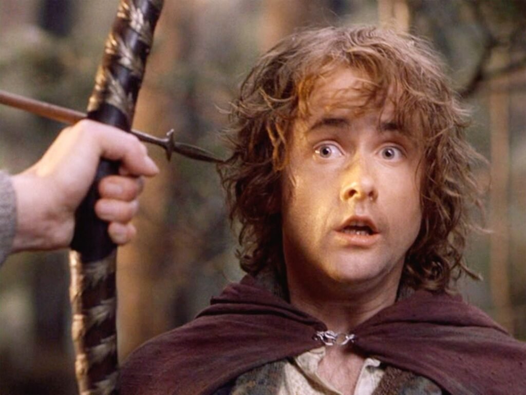 Peregrin Took (Pippin)