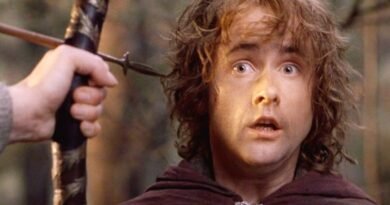 Peregrin Took (Pippin)