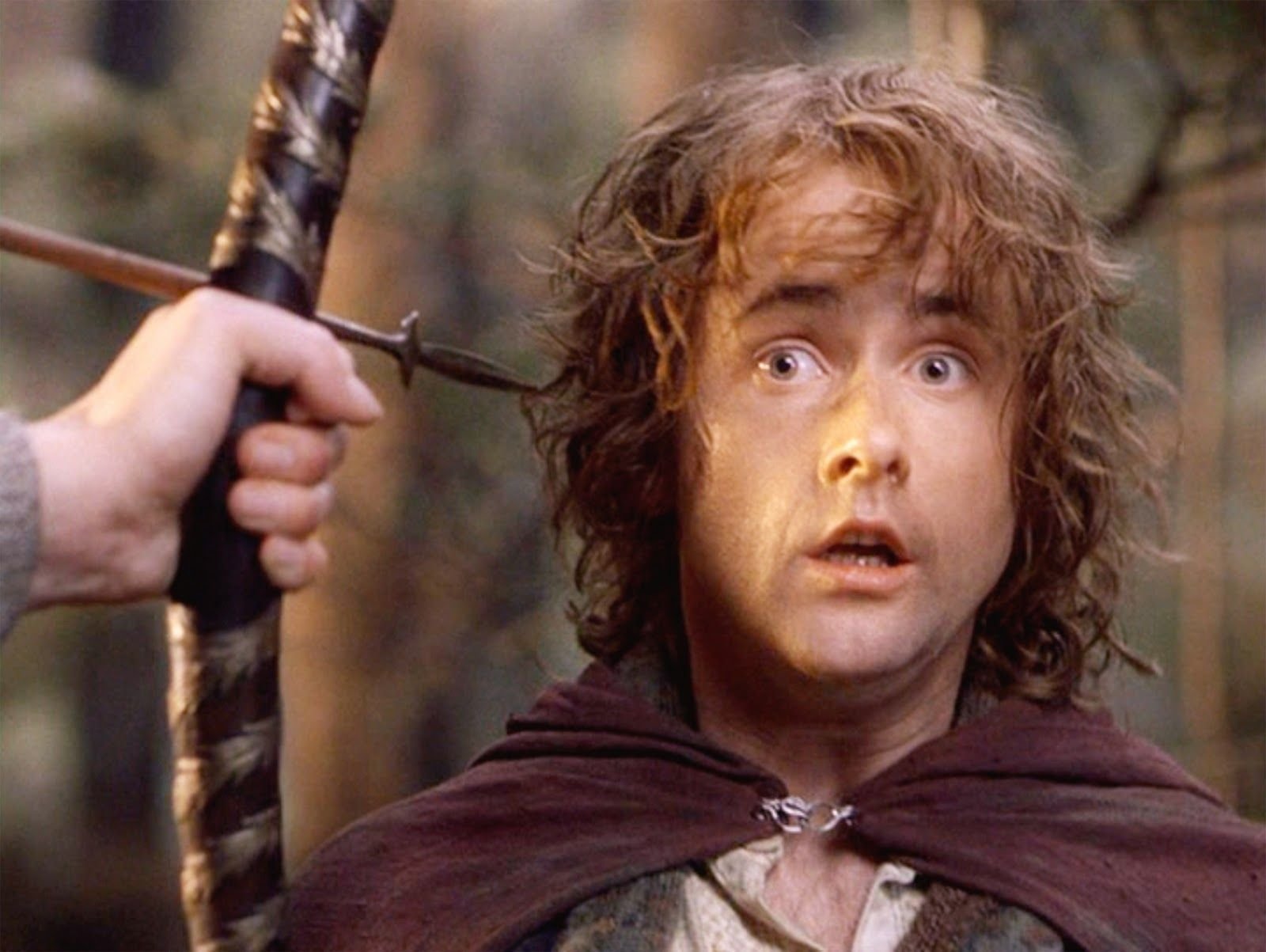 Peregrin Took (Pippin)