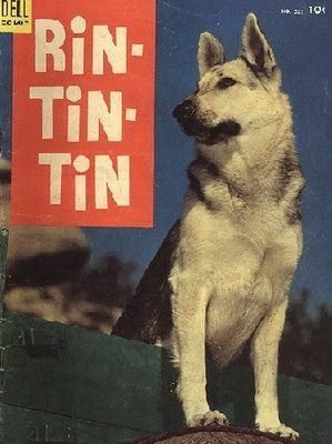 Rin Tin Tin