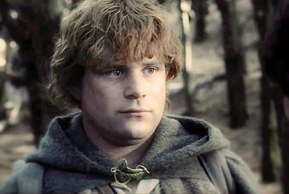 Samwise Gamgee