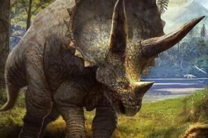 Triceratops