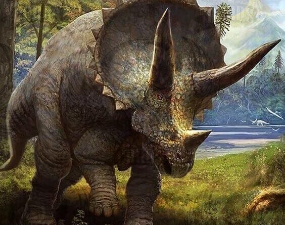 Triceratops