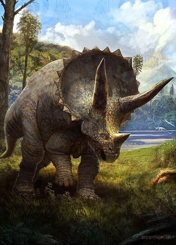 Triceratops