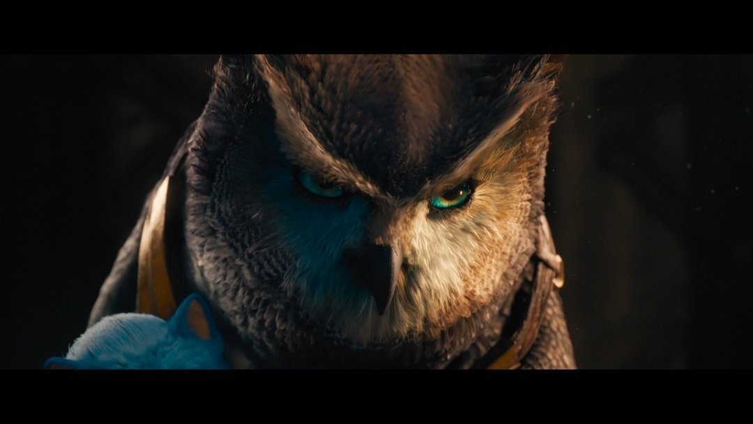 Uzunpençe- Sonic