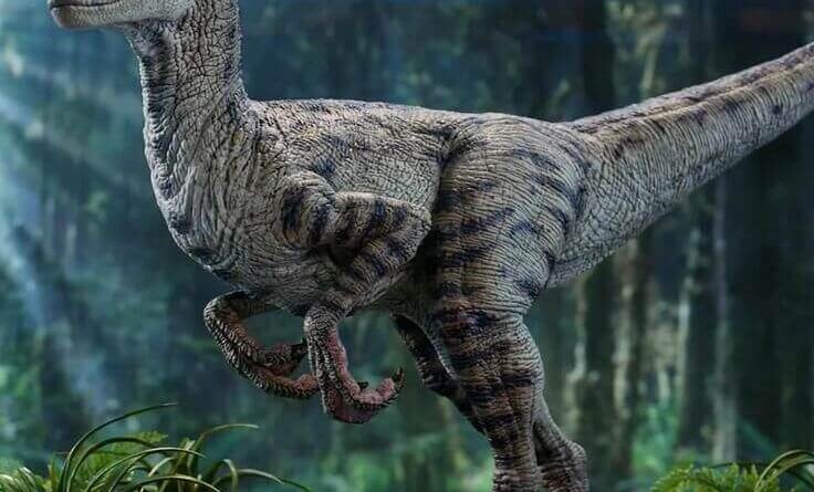 Velociraptor