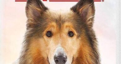 lassie1 (1)