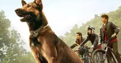 Max sadık köpek