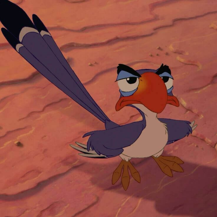 Zazu