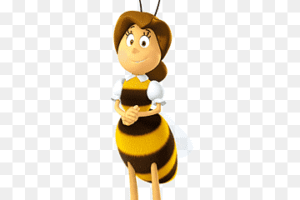 bayan Cassandra
