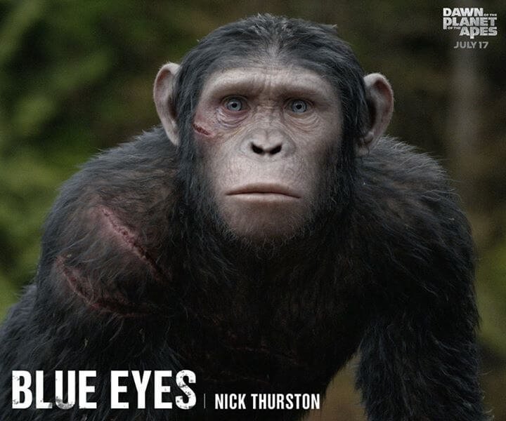 Blue Eyes Maymunlar cehennemi