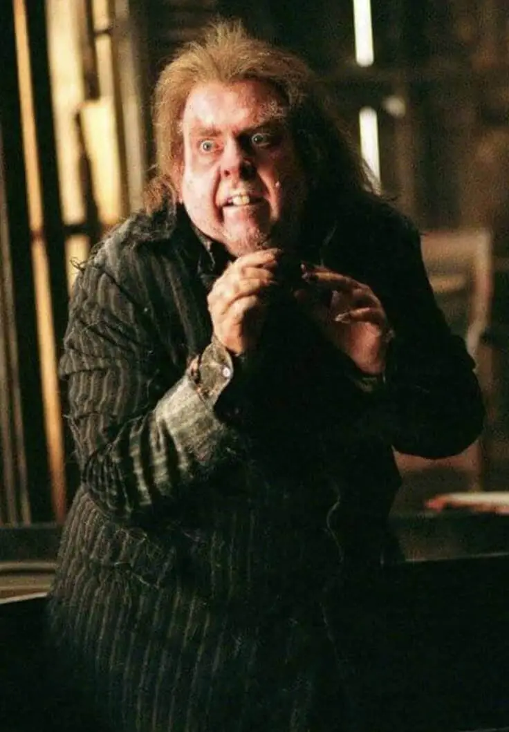Peter Pettigrew (Kurt Kuyruk)