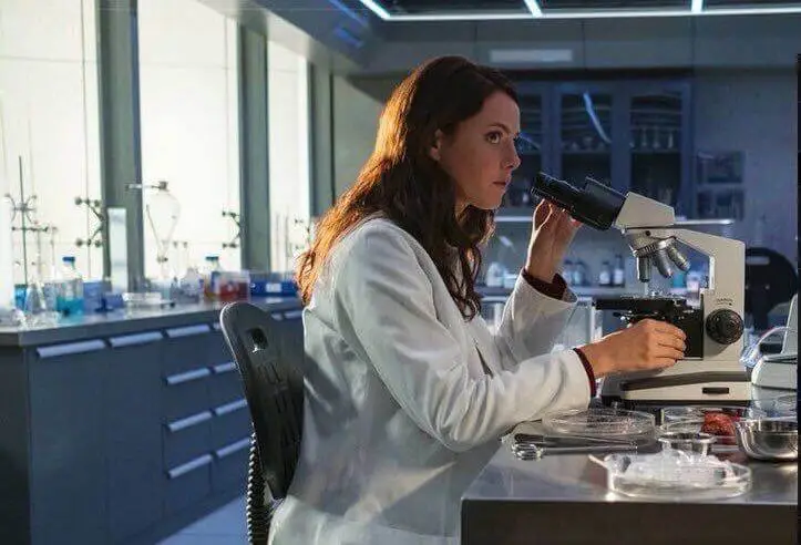 Teresa Agnes -labirent