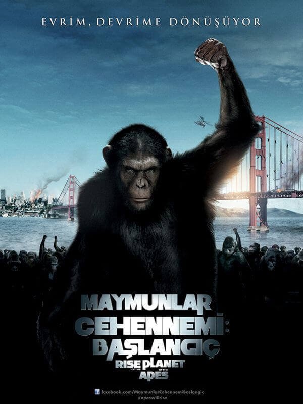 maymunlar cehennemi