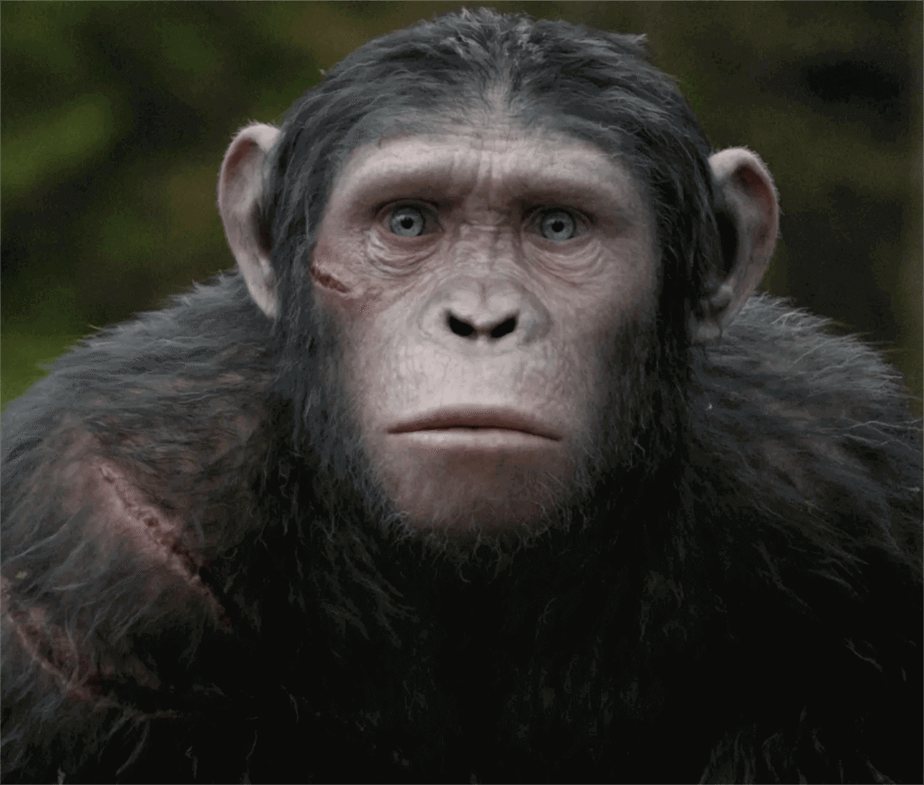 Blue Eyes Kimdir? Maymunlar Cehennemi Serinin Genç Savaşçısı