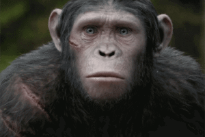 Blue Eyes Kimdir? Maymunlar Cehennemi Serinin Genç Savaşçısı