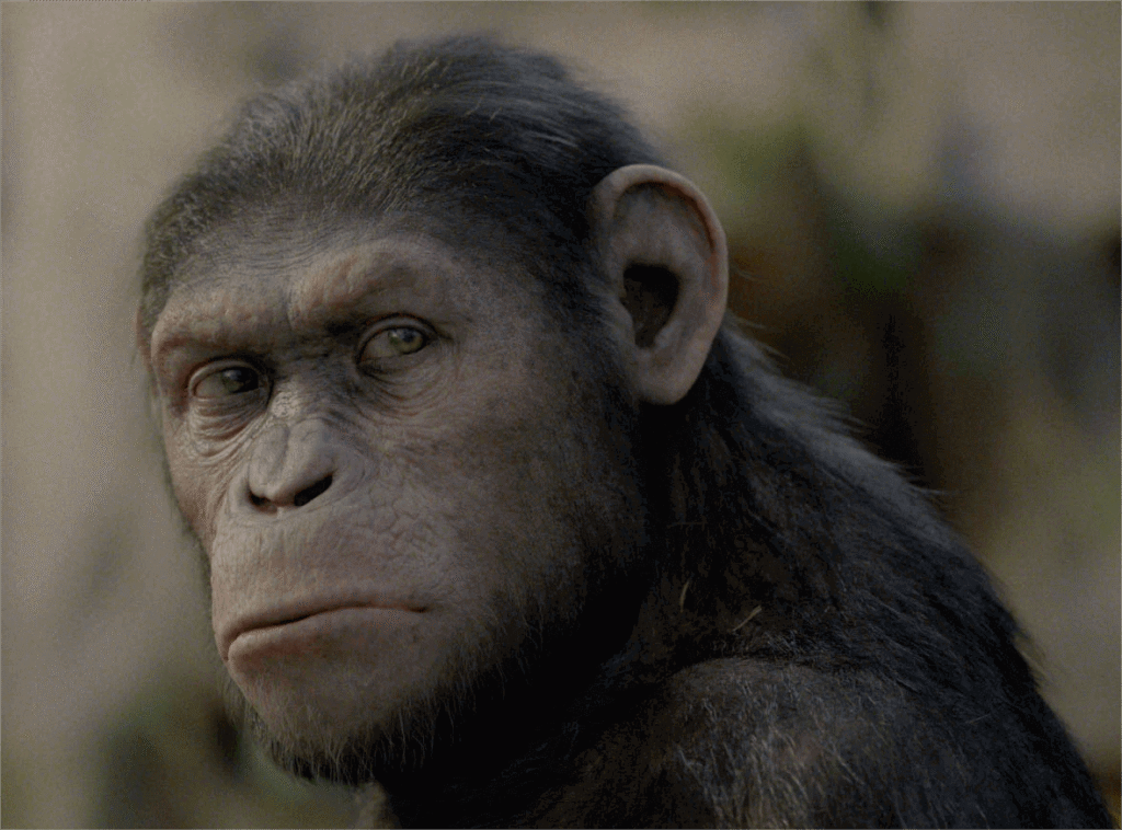 Caesar Kimdir? Maymunlar Cehennemi Serisinin Efsanevi Liderinin Evrimi ve Mücadelesi