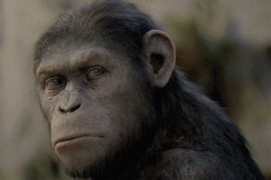 Caesar Kimdir? Maymunlar Cehennemi Serisinin Efsanevi Liderinin Evrimi ve Mücadelesi